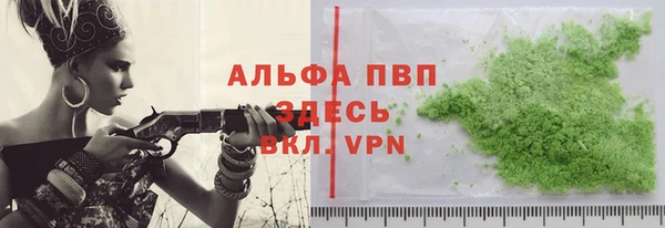 ГАЛЛЮЦИНОГЕННЫЕ ГРИБЫ Осинники