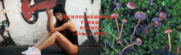 MESCALINE Арсеньев